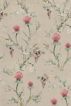 Silvestre Papiro - Coordonné