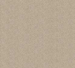 Spike Curry - Coordonné