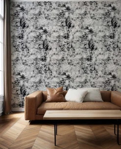 Star collision Black - Coordonné