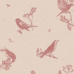 Sweet Birds Rose - Coordonné