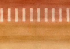 Taki Amber - Coordonné