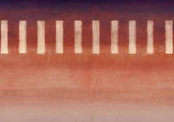 Taki Prune - Coordonné