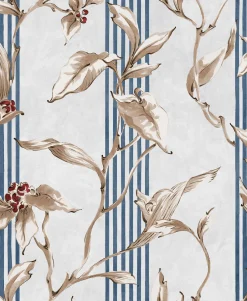 Trepadora Avio - Coordonné