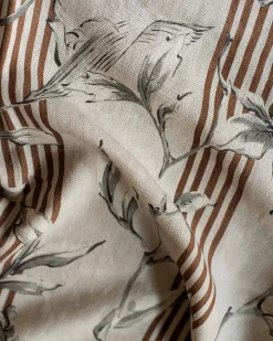 Trepadora Plata - Coordonné