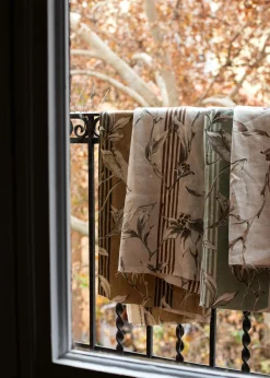 Trepadora Plata - Coordonné