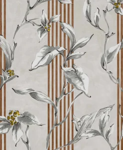 Trepadora Plata - Coordonné