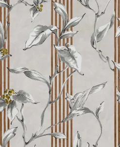 Trepadora Plata - Coordonné