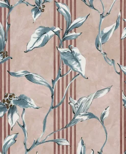 Trepadora Rosaceo - Coordonné