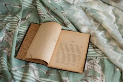 Trepadora Sage - Coordonné