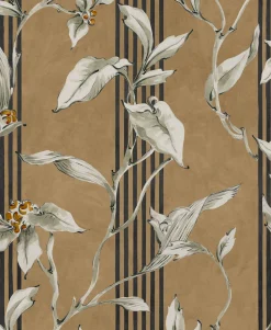 Trepadora Siena - Coordonné