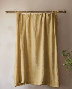 Tribal Curry - Coordonné