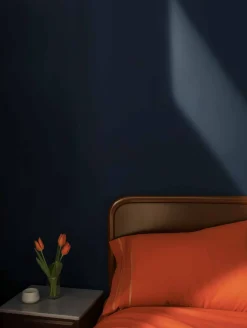 Ultramar - NEW - Coordonné