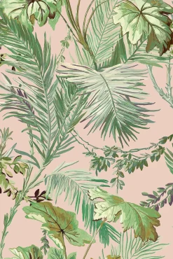 Vegetable Pink - Coordonné