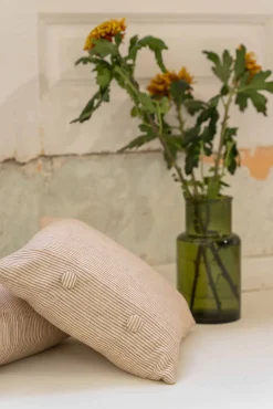 Vejer Albero - Coordonné