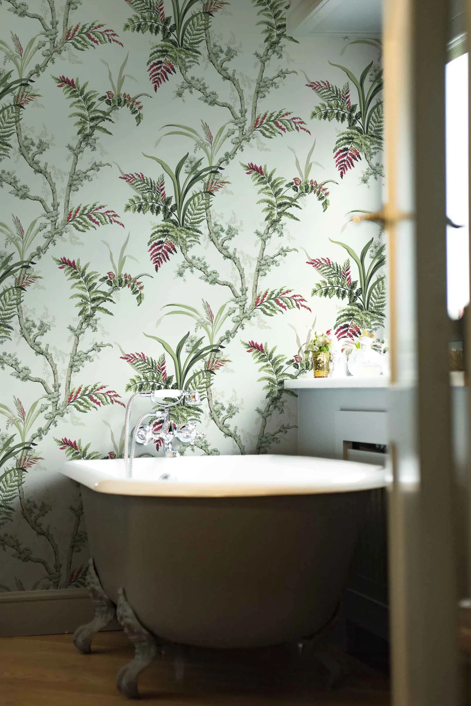 Wild Ferns Coral - Coordonné