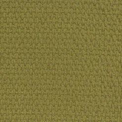 Wings 64 Olive - Coordonné