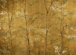 Woods Extra Gold - Coordonné