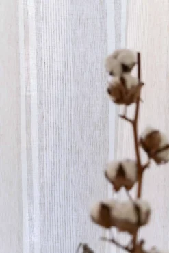 Zahara Arena - Coordonné