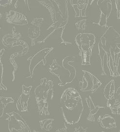 Zoology Stone - Coordonné